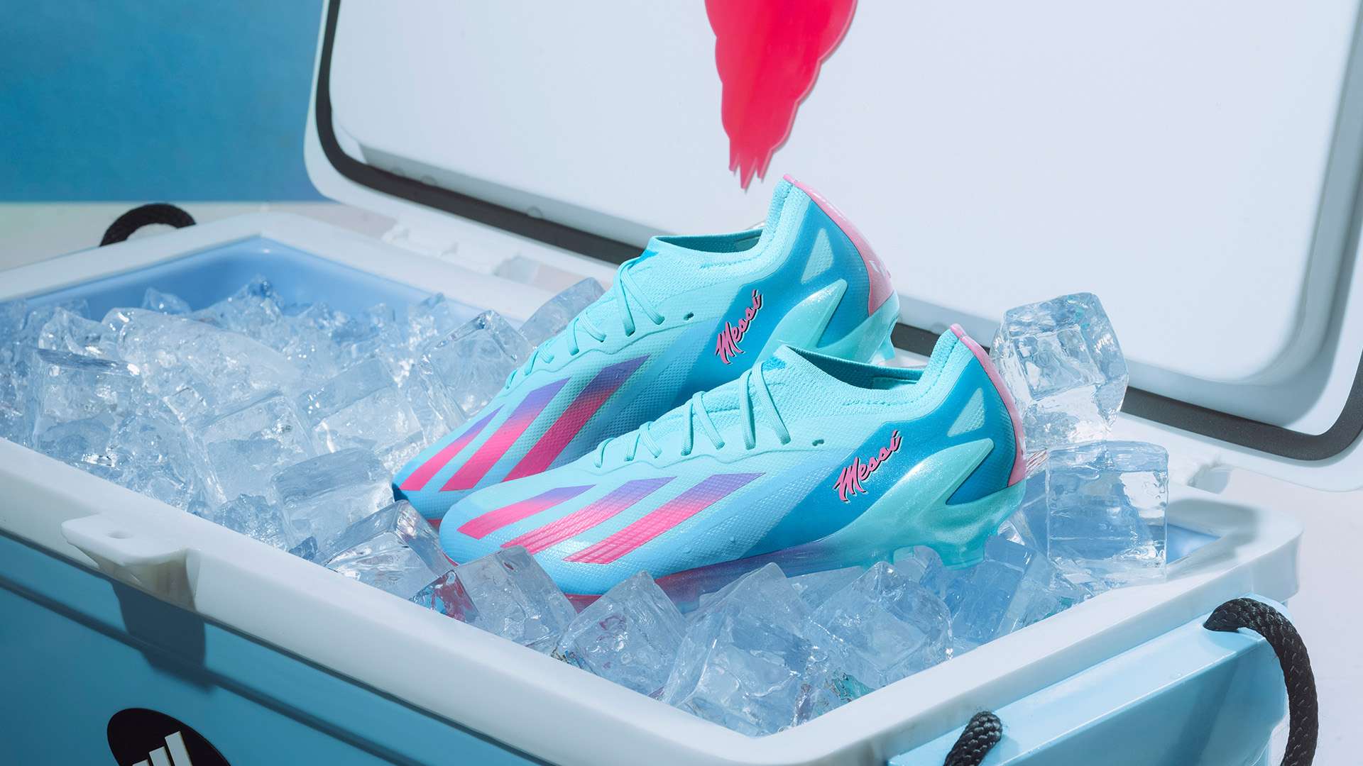 系的尊重 系的尊重